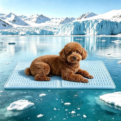 GOLOPET Cooling Mat for Dogs 34 x 23in by Afullrangeofservicesforyourpet