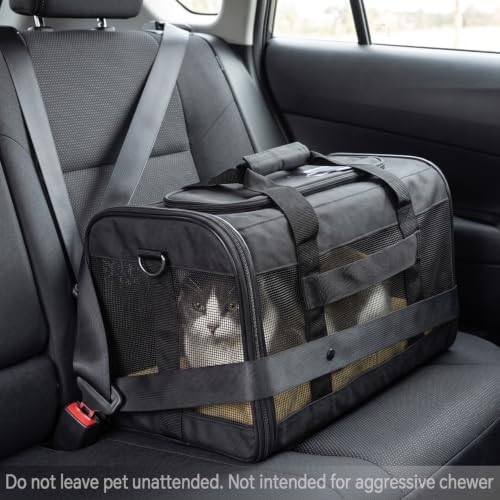 Conlun Dog Carrier Soft Sided, Large Cat Carrier - Image 4