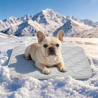 PPOLCA Waterproof Cooling Mat for Small Dogs 18x24 by PPOLCA