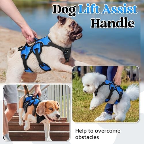 rabbitgoo Escape Proof Dog Harness - Image 3