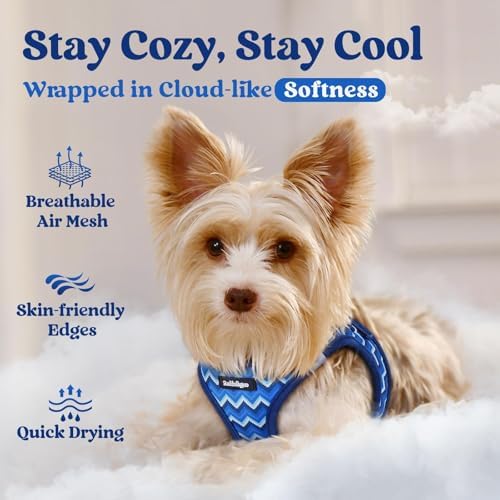 rabbitgoo Step-in Small Dog Harness, Puppy Vest - Image 3