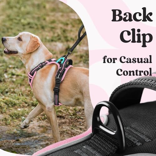 rabbitgoo Dog Harness for Large, Updated Easy On & Off - Image 5