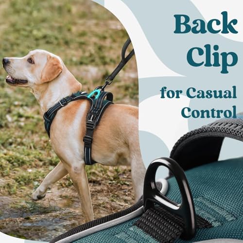 rabbitgoo Dog Harness Medium Sized, Updated Easy On & Off - Image 6