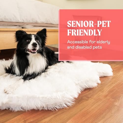 PAW BRANDS PupRug Orthopedic Dog Bed - Image 6