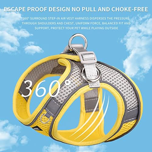 AIITLE Medium Dog Harness and Leash Set, Step-in Puppy Pet Vest - Image 3