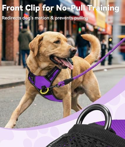 Joytale No Pull Dog Harness Medium Sized Dog, Front Clip - Image 2