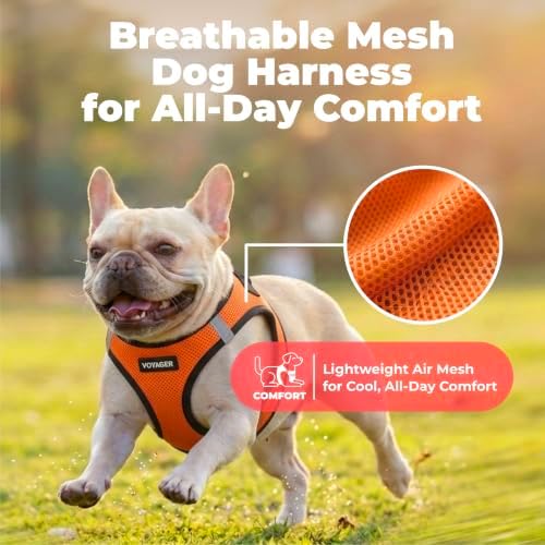 Voyager Step-in Air Dog Vest Harness - Image 5