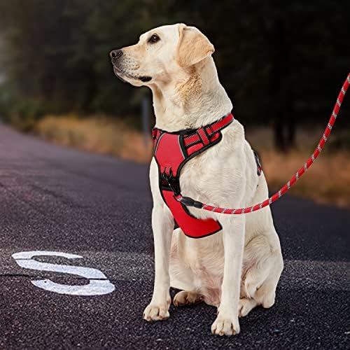 IVY&LANE No Pull Dog Harness for Medium Dogs, Reflective Dog Vest Harness - Image 6