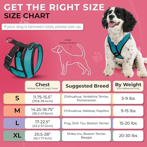 Gooby Comfort X Head-in Dog Harness, Choke-Free - Image 3