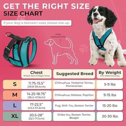 Gooby Comfort X Head-in Dog Harness, Choke-Free - Image 3