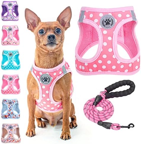 BEAUTYZOO Small Dog Harness and Leash Set, No Pull Puppy Pet Vest- Pink by BEAUTYZOO