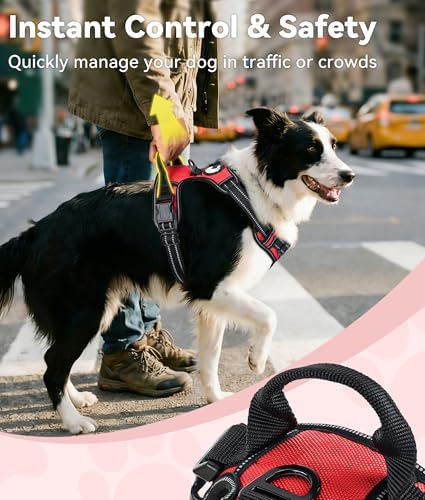 Joytale No Pull Dog Harness for Small Dogs, Front Clip - Image 3