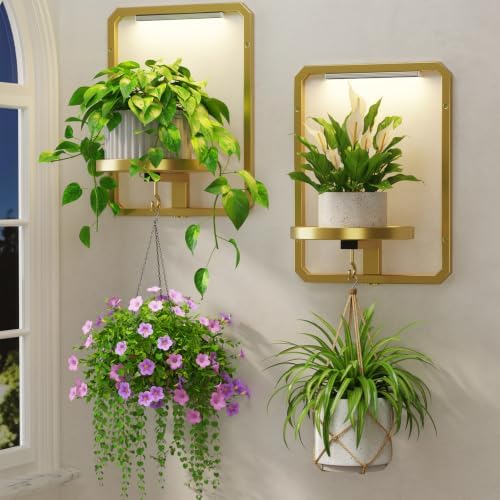 LASZOLA Plant Picture Frame Holder Shelf Wall by LASZOLA