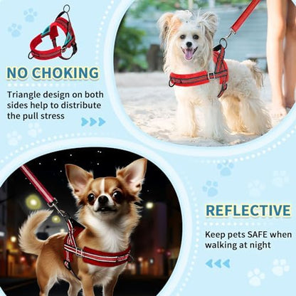 SlowTon No Pull Small Dog Harness and Leash Set - Image 3