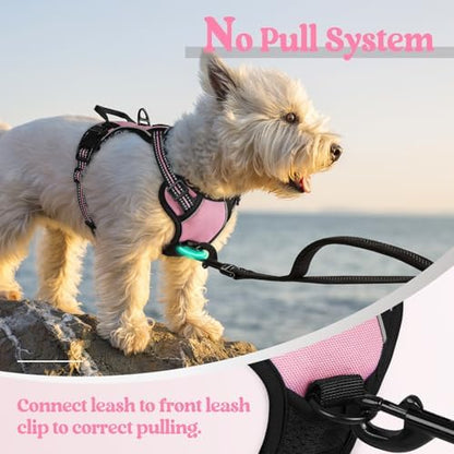 rabbitgoo Dog Harness No Pull - Image 5