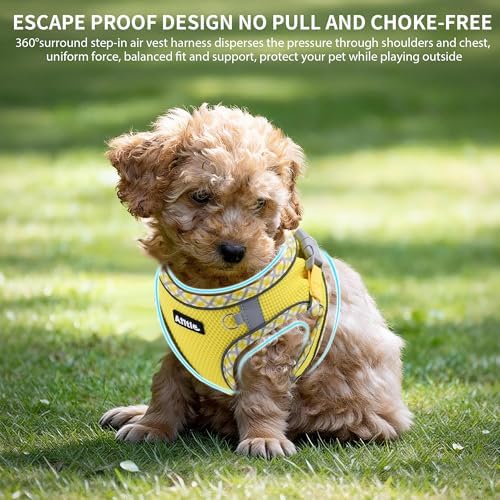 AIITLE Step in Dog Harness & Leash Set - Image 5