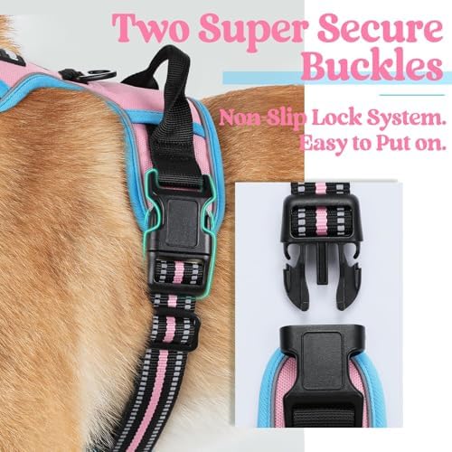rabbitgoo Dog Harness, No Pull Medium Sized - Image 4
