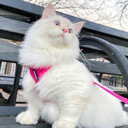 Voyager Step-in Lock Cat Harness & Leash Set - Image 6