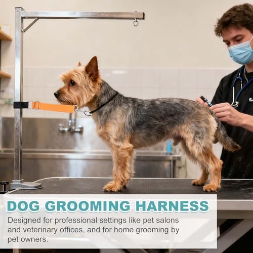 2Pcs Dog Grooming Loop, Adjustable, Sky Blue - Image 6