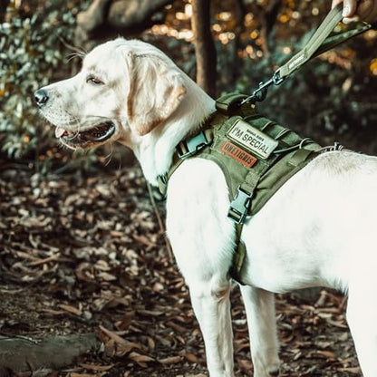 OneTigris Tactical Dog Harness No-Pull Breathable Pet Vest - Image 6