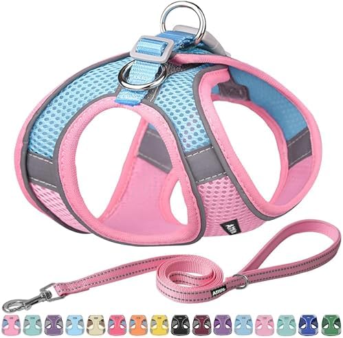 AIITLE Medium Dog Harness and Leash Set, Step-in Puppy Pet Vest by AIITLE-FORPETSBETTERLIFE