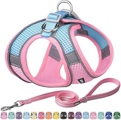 AIITLE Medium Dog Harness and Leash Set, Step-in Puppy Pet Vest by AIITLE-FORPETSBETTERLIFE