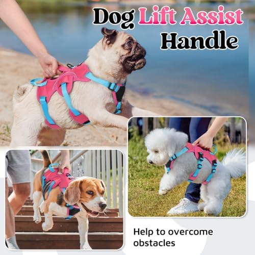 rabbitgoo Escape Proof Dog Harness - Image 3