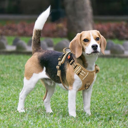 Timos Dog Harness, Front Clip No Pull Medium Sized - Image 6