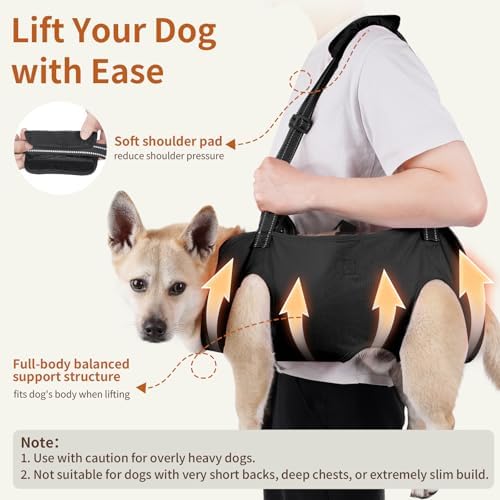 Mayerzon Full Body Dog Lift Harness, Support Senior & Disabled Dogs Walking - Image 2