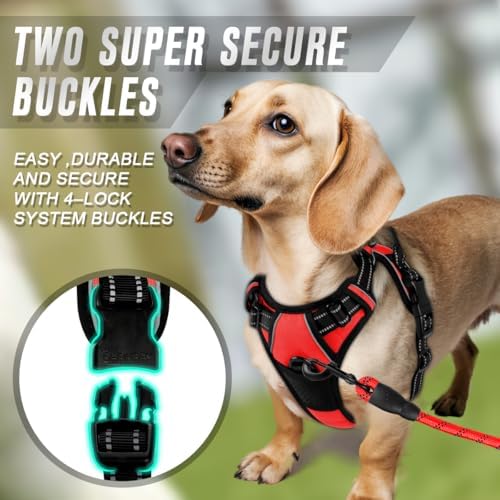 BARKBAY Dog Harness No Pull for Small Sized Dog Front Back Clips, Dog Vest - Image 4