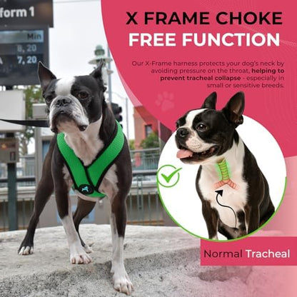 Gooby Comfort X Head-in Dog Harness, Choke-Free, Hunter Green - Image 5