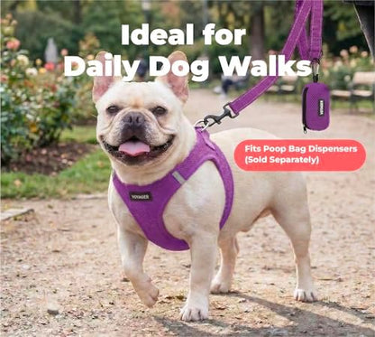 Best Pet Supplies Voyager Nylon Dog Leash - Image 3
