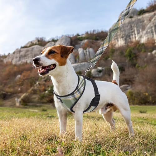 PUPTECK Small Dog Harness and Leash Set No Pull - Image 6