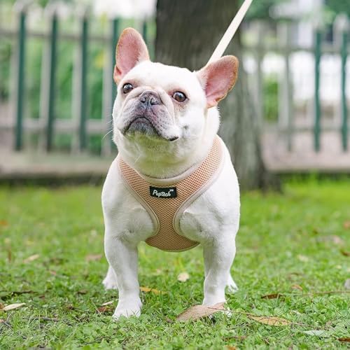 PUPTECK Small Dog Harness and Leash Set No Pull - Image 6