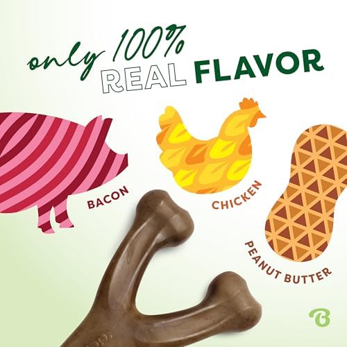 Benebone Wishbone Dog Chew Toy for Aggressive Chewers - Image 2
