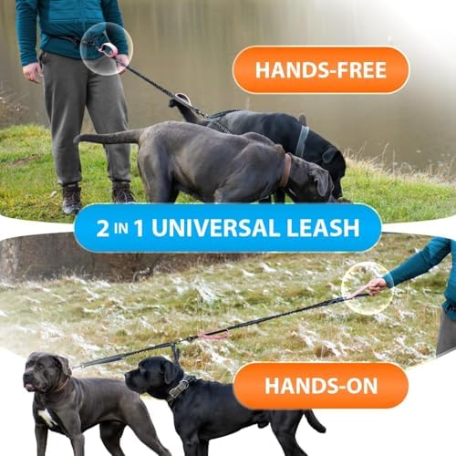 SparklyPets Hands Free Dual Dog Leash, Medium & Large - Image 6