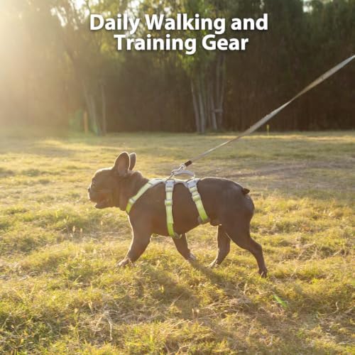 Huntboo Escape Proof Dog Harness, No Pull Reflective Harness - Image 7