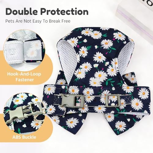 BAEJMJK Dog Harness and Leash Set - Image 6