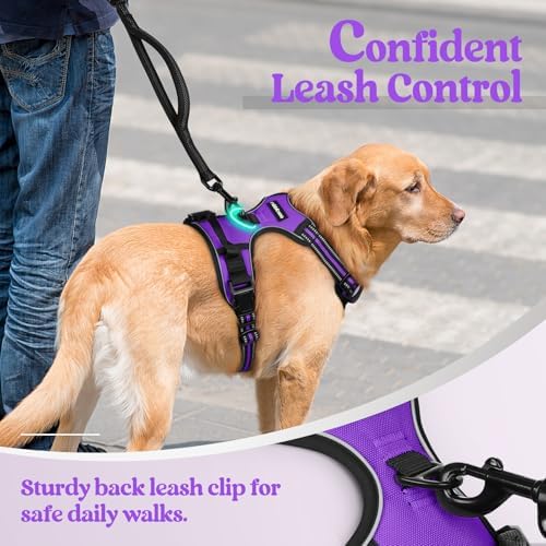 rabbitgoo Dog Harness, No Pull for Large Dogs - Image 6