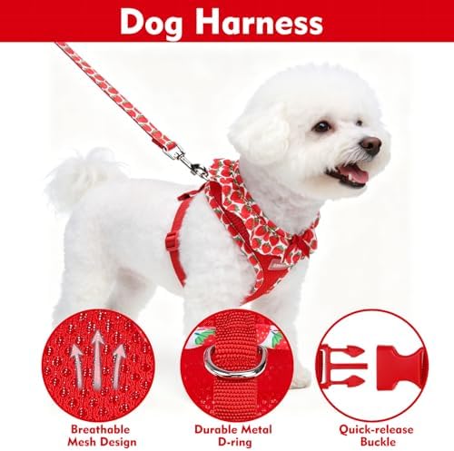 EXPAWLORER Step-in Dog Harness Small Sized and Leash Set - Image 3