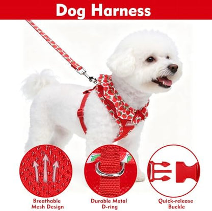 EXPAWLORER Step-in Dog Harness Small Sized and Leash Set - Image 3