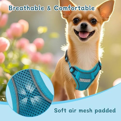 Small Dog Harness and Leash Set, Adjustable Small Sized Pet Vest - Image 5