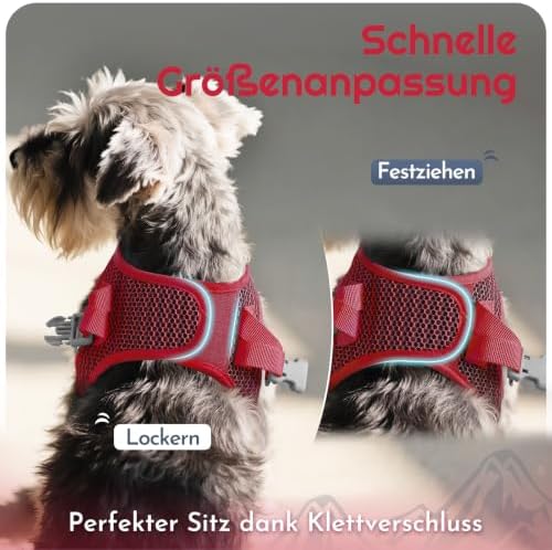 Eagloo Small Dog Harness and Leash Set, Step in Medium Small Puppy Pet Vest - Image 4
