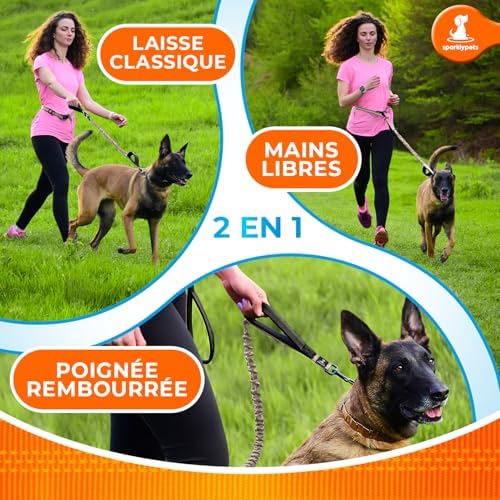 SparklyPets Hands Free Dog Leash, Medium & Large Breeds - Image 6
