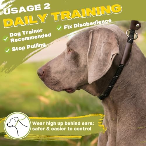 Fida Durable Slip Lead Dog Leash, 4 FT x 1/2" Dog Training Leash - Image 5