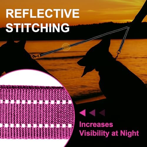 MingXpet Double Dog Leash for Two Dogs, No Pull Dog Leash, 360° Swivel No - Image 5