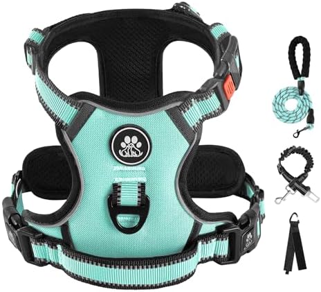 IVY&LANE No Pull Dog Harness for Small Dogs, Reflective Dog Vest Harness by IVYLANE
