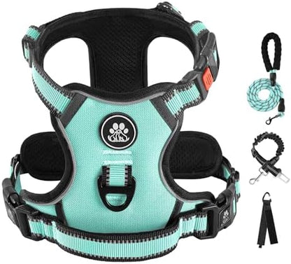 IVY&LANE No Pull Dog Harness for Small Dogs, Reflective Dog Vest Harness by IVYLANE
