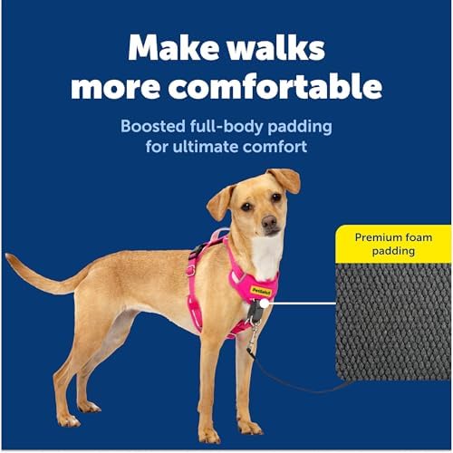 PetSafe Easy Walk Comfort No Pull Dog Harness, Extra Small - Image 3