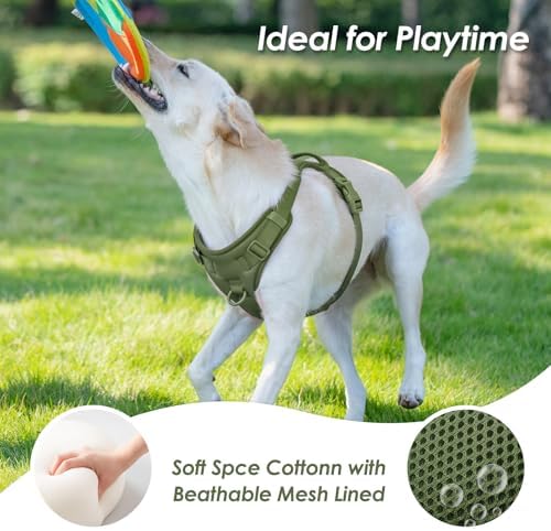 Sunraymascota No Pull Dog Harness - Image 6